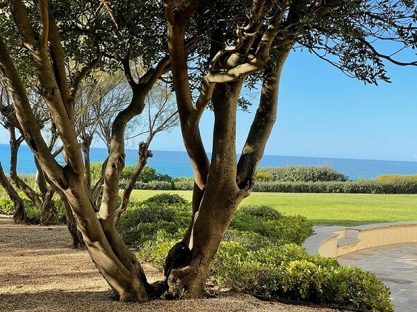 Ludovic Barlaud : Repenser un jardin face à l’océan à Bidart